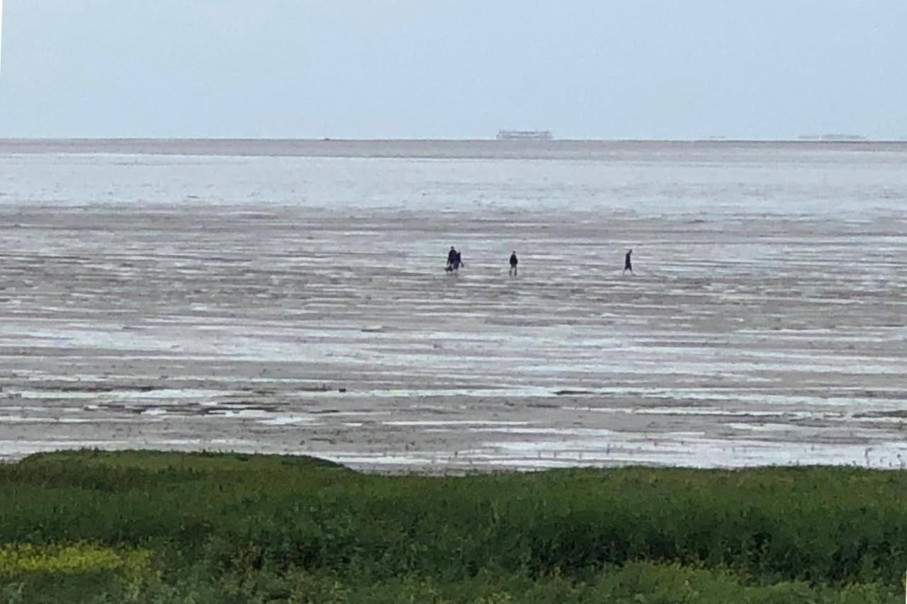 Het Huis Van De Wadden Den Oever Esterno foto