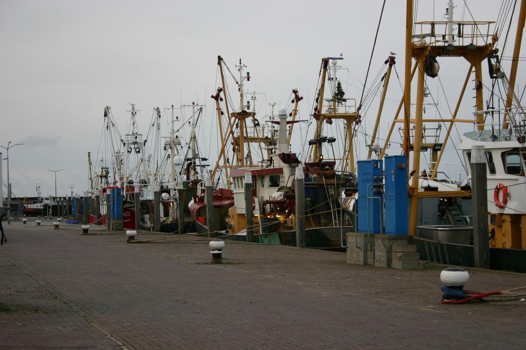 Het Huis Van De Wadden Den Oever Esterno foto