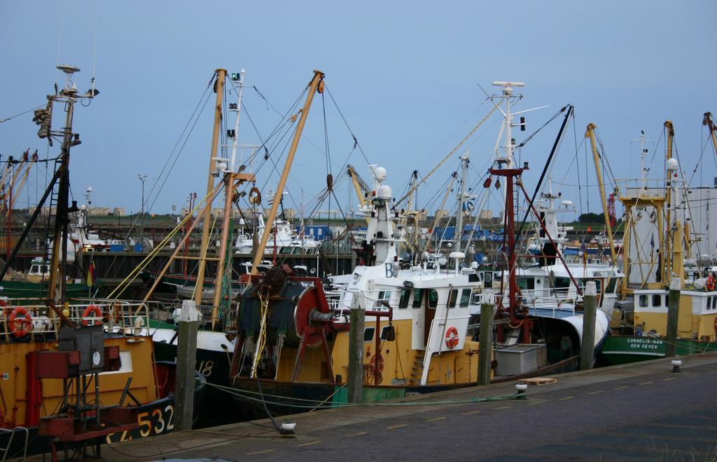Het Huis Van De Wadden Den Oever Esterno foto
